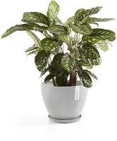 Ecopots kunststof schotel stockholm schotel 36.5x3.5 cm witgrijs     - afbeelding 4