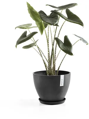 Ecopots kunststof schotel stockholm schotel 44.5x3.5 cm donkergrijs     - afbeelding 4