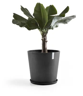 Ecopots kunststof schotel stockholm schotel 44.5x3.5 cm donkergrijs     - afbeelding 2