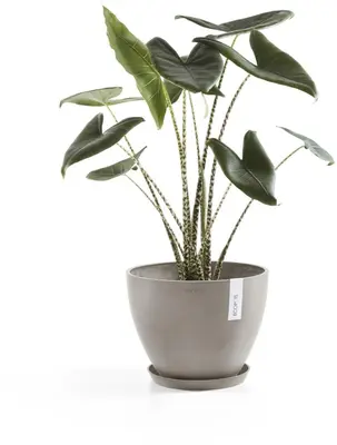 Ecopots kunststof schotel stockholm schotel 44.5x3.5 cm taupe     - afbeelding 4
