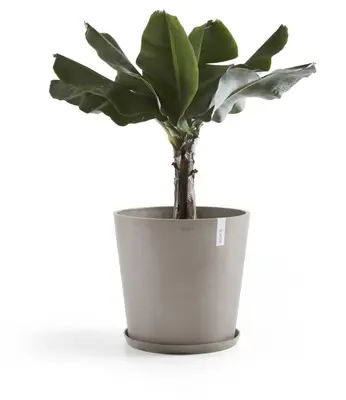 Ecopots kunststof schotel stockholm schotel 44.5x3.5 cm taupe     - afbeelding 2
