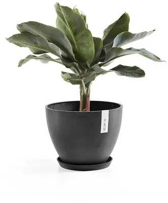 Ecopots kunststof stockholm schotel 28.7x3.5 cm donkergrijs     - afbeelding 4