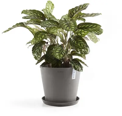 Ecopots kunststof stockholm schotel 28.7x3 cm taupe     - afbeelding 2