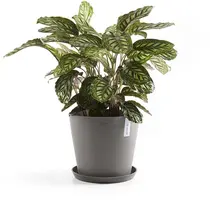 Ecopots kunststof stockholm schotel 28.7x3 cm taupe     - afbeelding 2