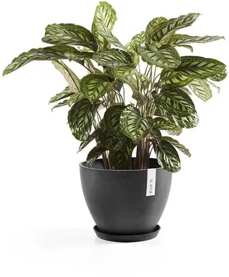 Ecopots kunststof stockholm schotel 36.5x3.5 cm donkergrijs     - afbeelding 4