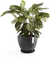Ecopots kunststof stockholm schotel 36.5x3.5 cm donkergrijs     - afbeelding 4