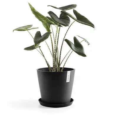 Ecopots kunststof stockholm schotel 36.5x3.5 cm donkergrijs     - afbeelding 2