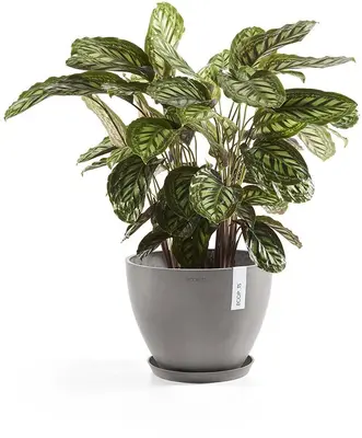 Ecopots kunststof stockholm schotel 36.5x3.5 cm taupe     - afbeelding 4