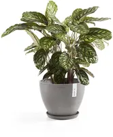 Ecopots kunststof stockholm schotel 36.5x3.5 cm taupe     - afbeelding 4
