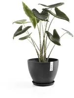 Ecopots kunststof stockholm schotel 44.5x3.5 cm donkergrijs     - afbeelding 4