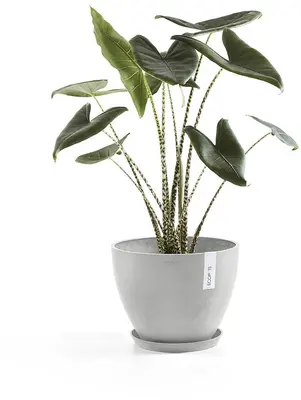 Ecopots kunststof stockholm schotel 44.5x3.5 cm witgrijs     - afbeelding 4