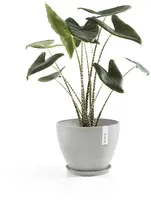 Ecopots kunststof stockholm schotel 44.5x3.5 cm witgrijs     - afbeelding 4
