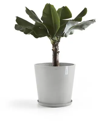 Ecopots kunststof stockholm schotel 44.5x3.5 cm witgrijs     - afbeelding 2