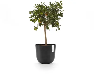 Ecopots Oslo Donkergrijs Ø25cm x H21,8 cm - afbeelding 8