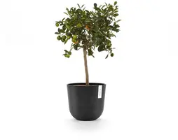 Ecopots Oslo Donkergrijs Ø25cm x H21,8 cm - afbeelding 8
