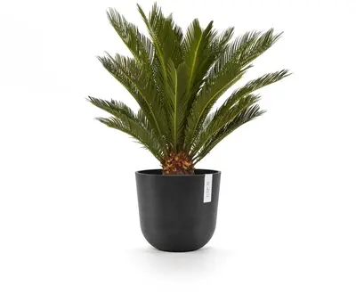 Ecopots Oslo Donkergrijs Ø25cm x H21,8 cm - afbeelding 7