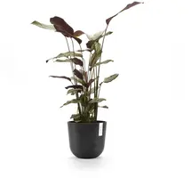 Ecopots Oslo Donkergrijs Ø25cm x H21,8 cm - afbeelding 6