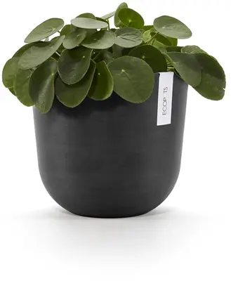 Ecopots Oslo Donkergrijs Ø25cm x H21,8 cm - afbeelding 2