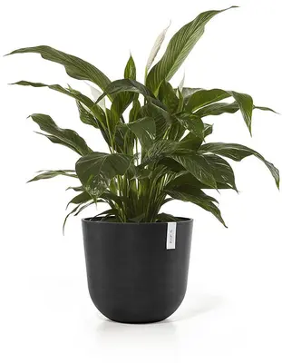 Ecopots Oslo Donkergrijs Ø45cm x H39,2 cm - afbeelding 2