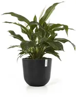 Ecopots Oslo Donkergrijs Ø45cm x H39,2 cm - afbeelding 2
