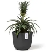 Ecopots Oslo Mini Donkergrijs Ø16cm x H13,7 cm - afbeelding 2