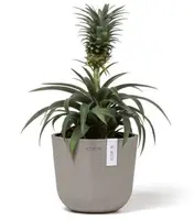 Ecopots Oslo Mini Taupe Ø16cm x H13,7 cm - afbeelding 2