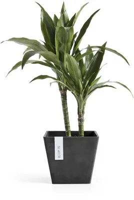 Ecopots Rotterdam Donkergrijs L20 x B20 x H17,5 cm - afbeelding 7