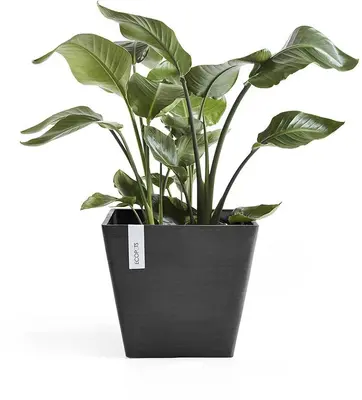 Ecopots Rotterdam Donkergrijs L40 x B40 x H35 cm - afbeelding 2