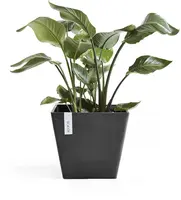 Ecopots Rotterdam Donkergrijs L40 x B40 x H35 cm - afbeelding 2