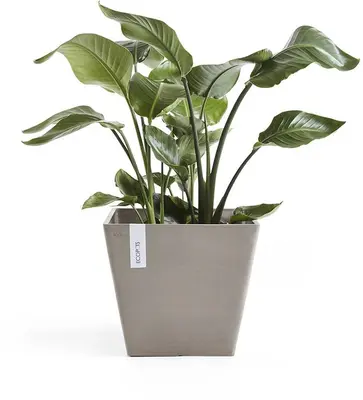 Ecopots Rotterdam Taupe L40 x B40 x H35 cm - afbeelding 2