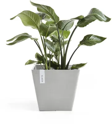 Ecopots Rotterdam Witgrijs L40 x B40 x H35 cm - afbeelding 2