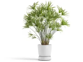 Ecopots Saucer Wheels Oslo Puurwit Ø30,2 x H8,5 cm - afbeelding 2