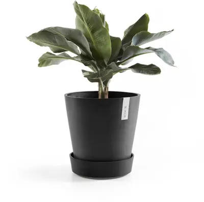 Ecopots Saucer Wheels Rond Donkergrijs Ø28,7 x H8,3 cm - afbeelding 4