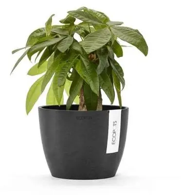 Ecopots Stockholm Donkergrijs Ø16,2 x H12 cm - afbeelding 2