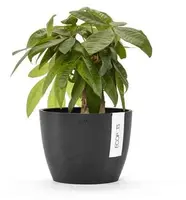 Ecopots Stockholm Donkergrijs Ø16,2 x H12 cm - afbeelding 2