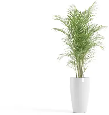 Ecopots Stockholm High Puurwit Ø35cm x H60 cm - afbeelding 2