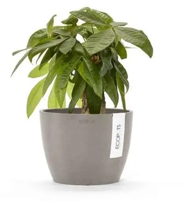 Ecopots Stockholm Taupe Ø16,2 x H12 cm - afbeelding 2