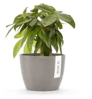 Ecopots Stockholm Taupe Ø16,2 x H12 cm - afbeelding 2