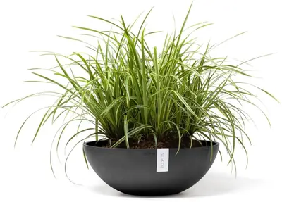 Ecopots Vienna Donkergrijs Ø50cm x H18 cm - afbeelding 6
