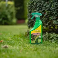 Ecostyle Buxus bladvoeding gebruiksklaar 750ml - afbeelding 2