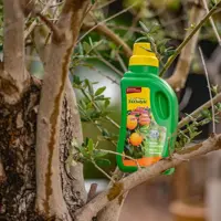 Ecostyle Citrus & Olijf voeding 1000ml - afbeelding 2