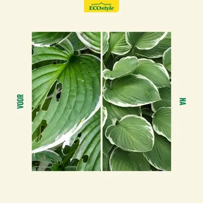 Ecostyle Escar-Go 200g - afbeelding 4