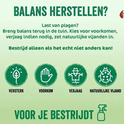 Ecostyle Escar-Go 200g - afbeelding 8