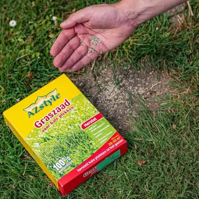 Ecostyle Graszaad-Extra 1 kg - afbeelding 3