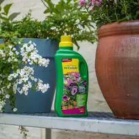 Ecostyle Potplanten voeding 1000ml - afbeelding 3