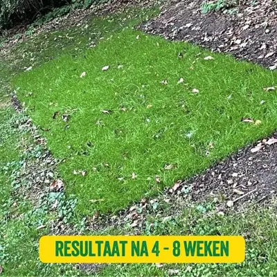 Ecostyle Soweazy graszaad herstelvellen 10 st - afbeelding 5