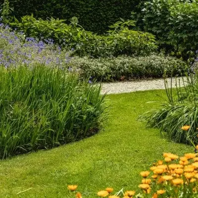 Ecostyle Tuinmest 5kg - afbeelding 4