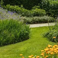 Ecostyle Tuinmest 5kg - afbeelding 4