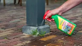 Ecostyle Ultima onkruid & mos kant en klaar 750ml - afbeelding 4