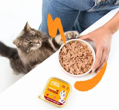 Edgard & Cooper Kat Adult Paté Chicken 85 g - afbeelding 3